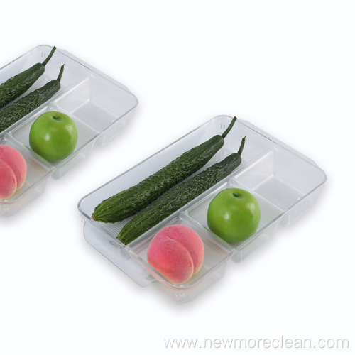 Clear 4 Compartment Vegetable Refrigerator Storage Box